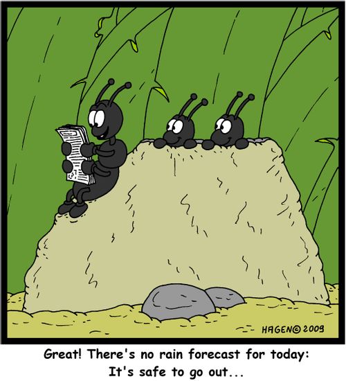 'Great! There's no rain forecast for today: It's safe to go out...'