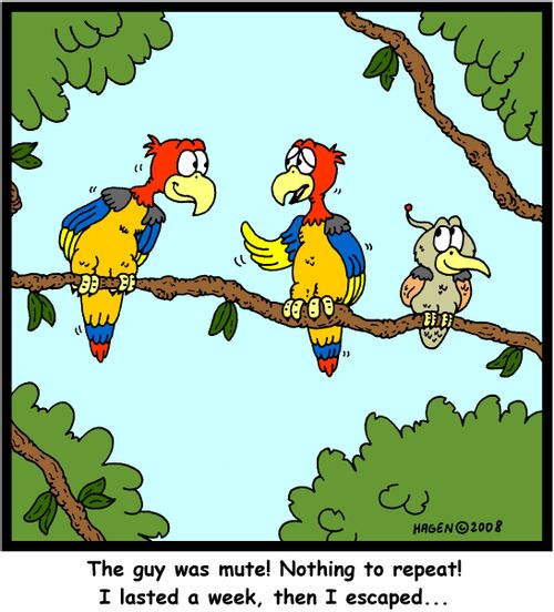 'The guy was mute! Nothing to repeat! I lasted a week, then I escaped...'