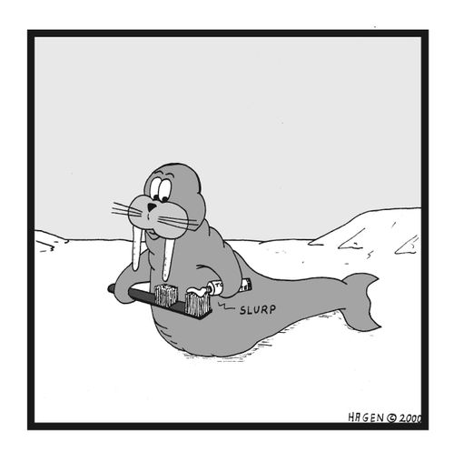 Walrus Brushing Teeth.