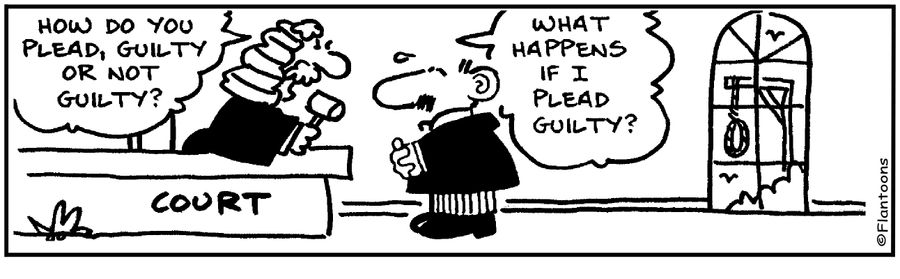 Are you guilty or not guilty?  What happens if I plead guilty?