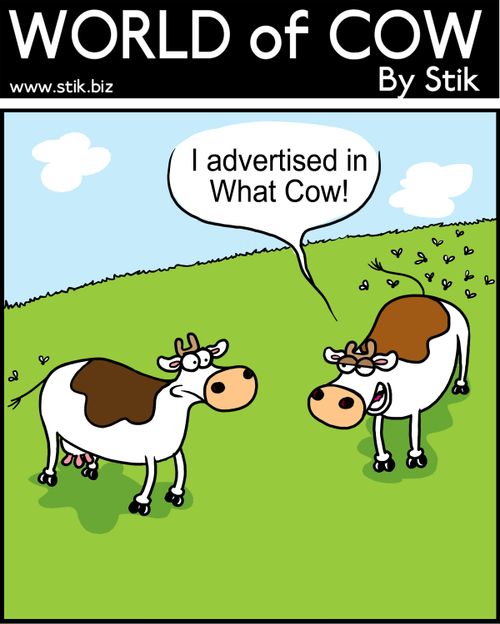 I advertised in What Cow!