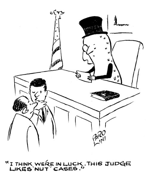 'I think we're in luck. This judge likes 'nut' cases.'