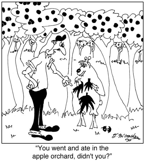 'You went and ate in the apple orchard, didn't you?'
