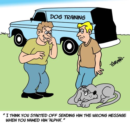 I think you started off sending him the wrong message when you named him Alpha.