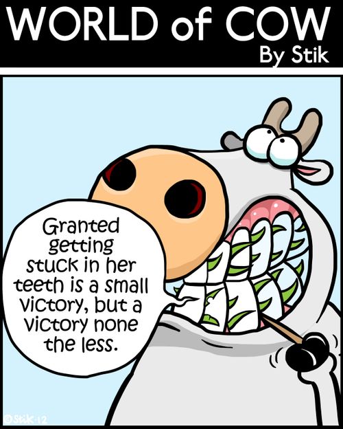 'Granted getting stuck in her teeth is a small victory, but a victory none the less.'