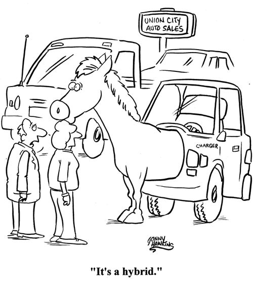 'It's a hybrid.'