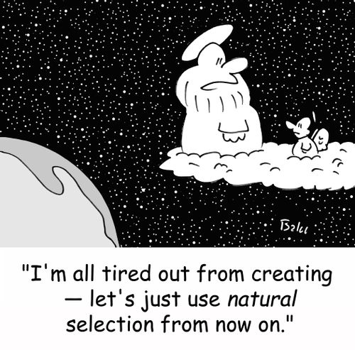 'I'm all tired out from creating - let's just use NATURAL selection from now on.'