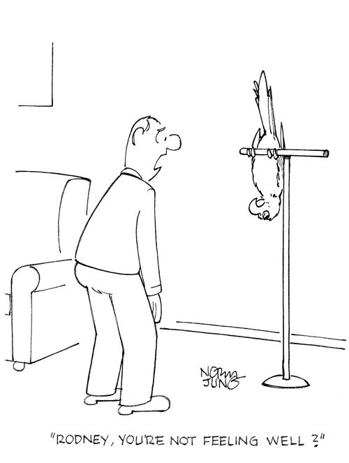 'Rodney, you're not feeling well?'