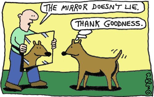 'The mirror doesn't lie.' 'Thank goodness.'