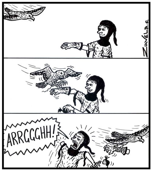 Aa falconer looses his arm to his peregrine falcon.