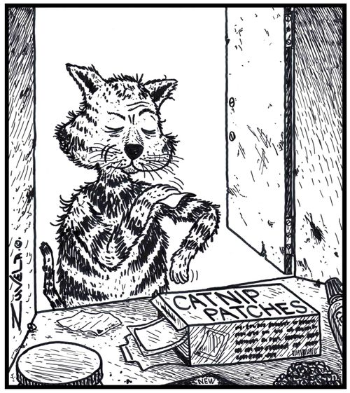 A slightly disgruntled cat sticking on a Catnip patch.