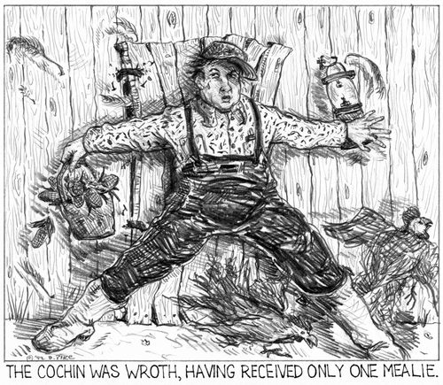 'The cochin was wroth, having received only one mealie.'