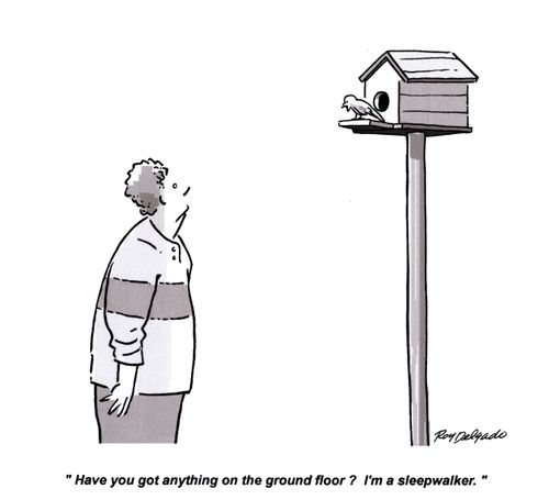 'Have you got anything on the ground floor? I'm a sleepwalker.'