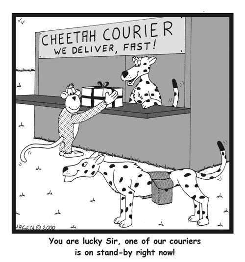 "You are lucky Sir, one of our couriers is on stand-by right now!"