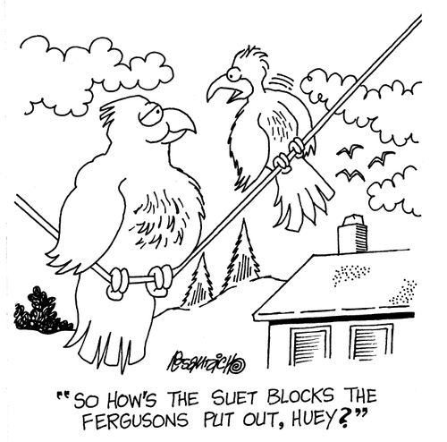 "So, how's the suet blocks the Fergussons put out, Huey?"