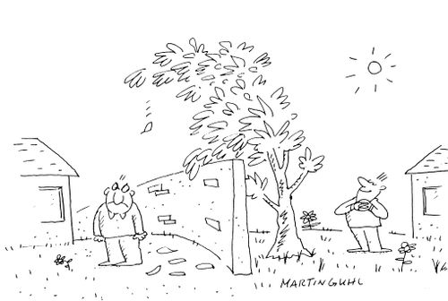 Neighbours waring over tree that's too high