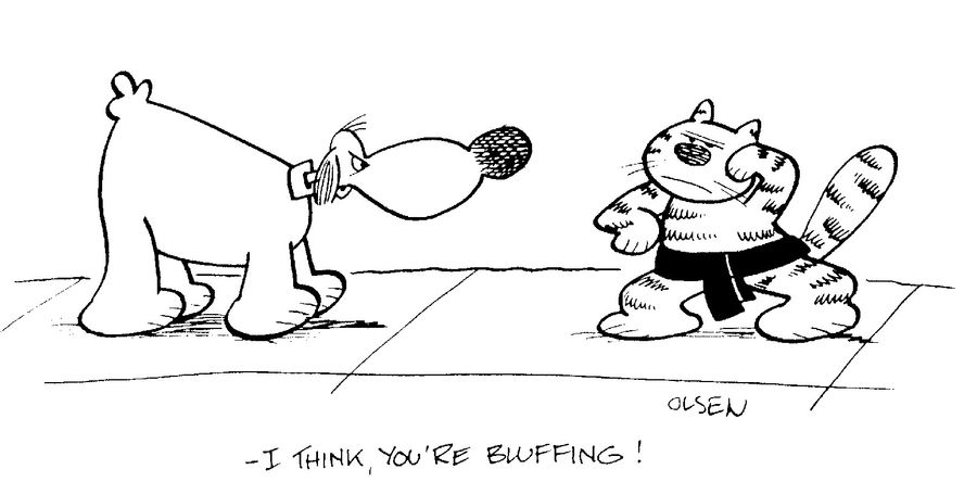 "I think your bluffing!"
