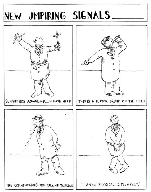 New Umpire Signals