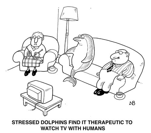 Stressed dolphins...