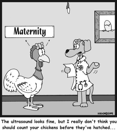 'The ultrasound looks fine, but I really don't think you should count your chickens before they've hatched...'