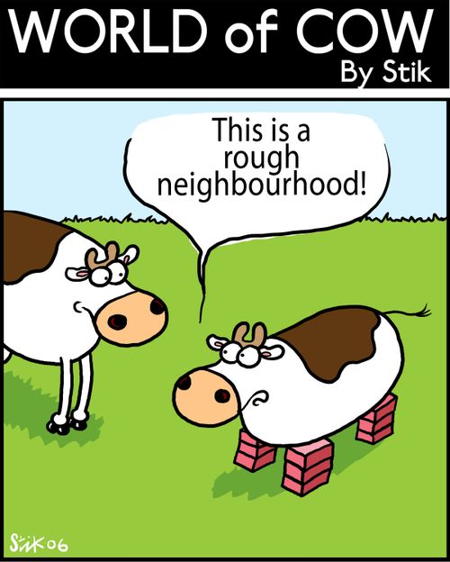 "This is a rough neighbourhood!"