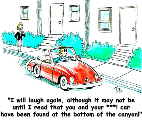 'I will laugh again, although it may not be until I read that you and your **** car have been found at the bottom of the canyon!'
