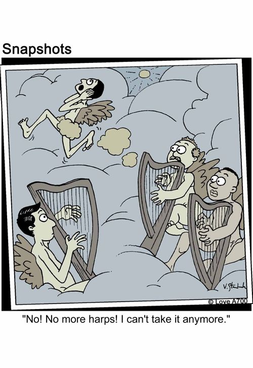 'No! No more harps! I can't take it anymore.'