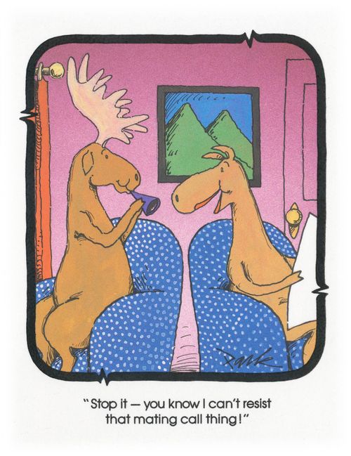 'Stop it - you know I can't resist that mating call thing!'