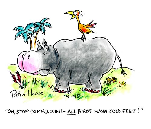 'Oh, stop complaining. All birds have cold feet!'