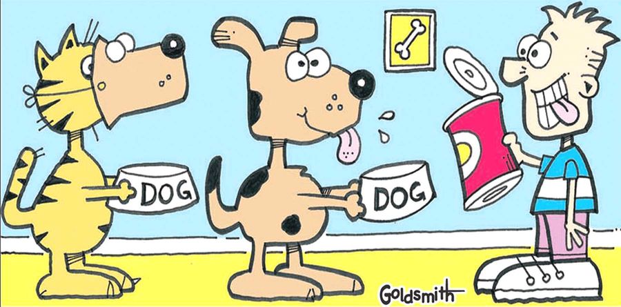 Dog's dinner.
