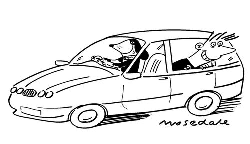 Dog driving and man leaning out of open window.