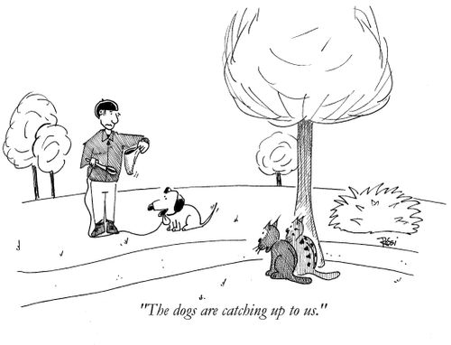 'The dogs are catching up to us.'