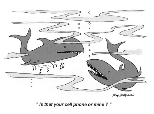 'Is that you cell phone or mine?'