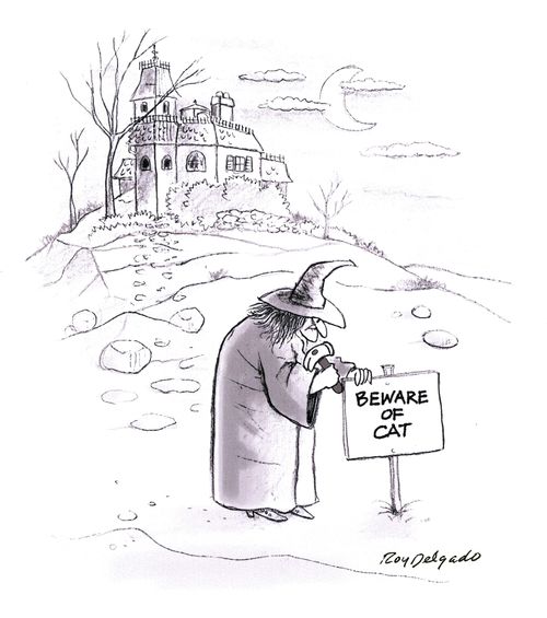 Beware of the Cat.