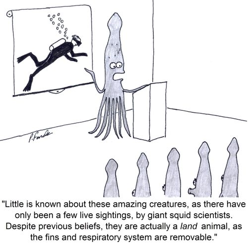 'Little is known about these amazing creatures, as there have only been a few live sightings, by giant squid scientists. Despite previous beliefs, they are actually a land animal, as the fins and respiratory system are removable.'