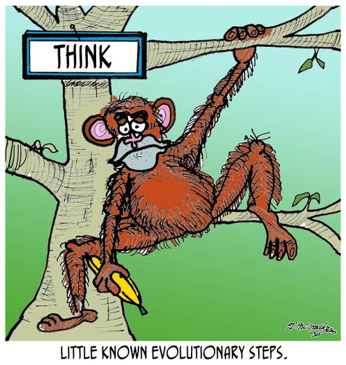 THINK: Little known evolutionary steps.