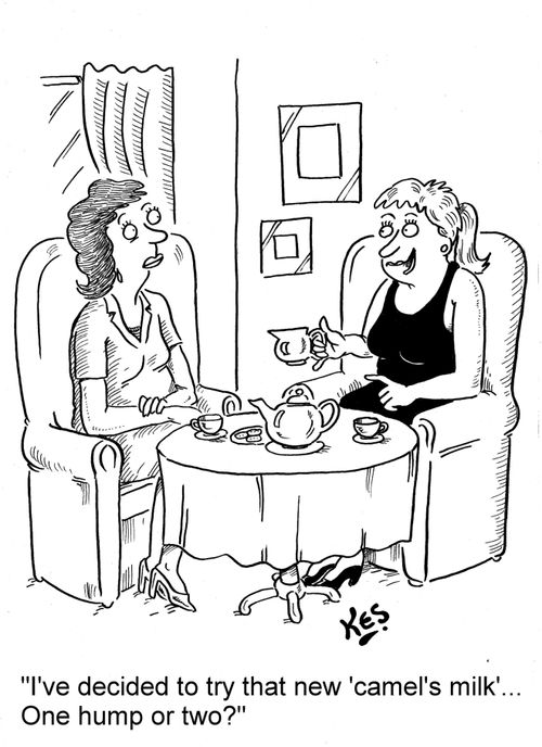 'I've decided to try that new 'camel's milk'... One hump or two?'