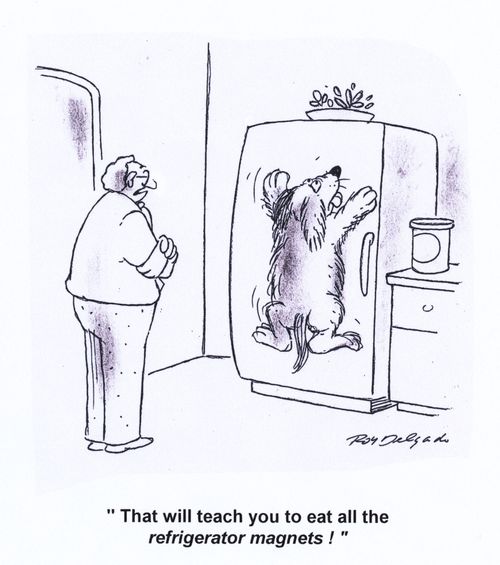 'That will teach you to eat all the refrigerator magnets!'