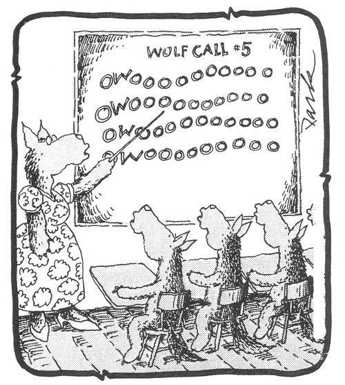 Wolf Call.
