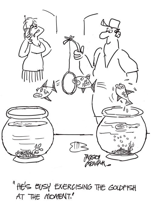 "He's busy exercising the goldfish at the moment.