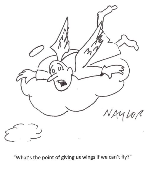'What's the point of giving us wings if we can't fly?'