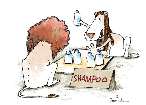 Lion shampoo.