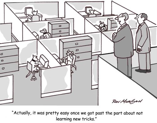 'Actually, it was pretty easy once we got past the part about not learning new tricks.'