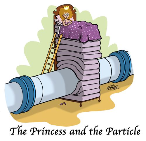 The Princess and the Particle