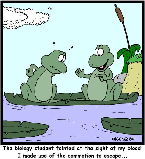 'The biology student fainted at the sight of my blood: I made use of the commotion to escape...'