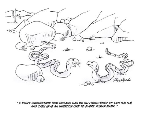'I don't understand how humans can be so frightened of our rattle and then give an imitation one to every human baby.'