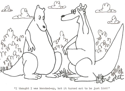 'I thought I was knocked-up, but it was just lint!'