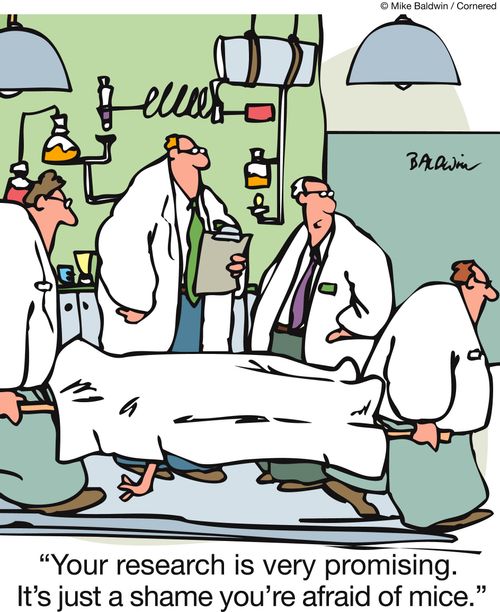 'Your research is very promising. It's just a shame you're afraid of mice.'