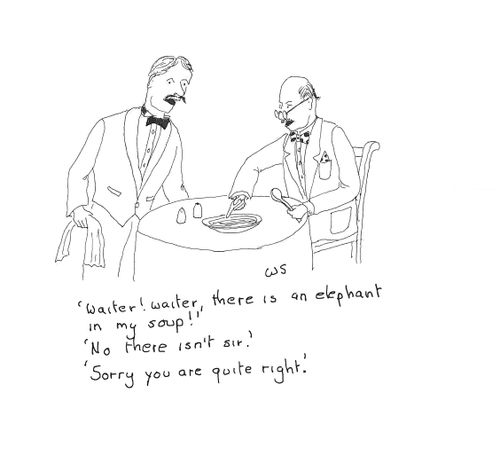 'Waiter! Waiter, there is an elephant in my soup!'