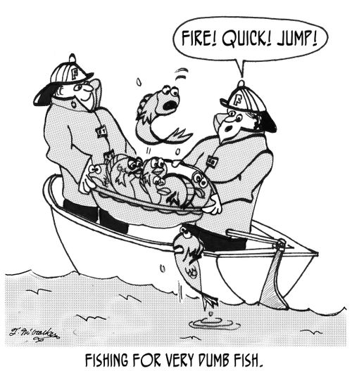 Fishing for very dumb fish.